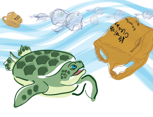 turtle-wbags-03